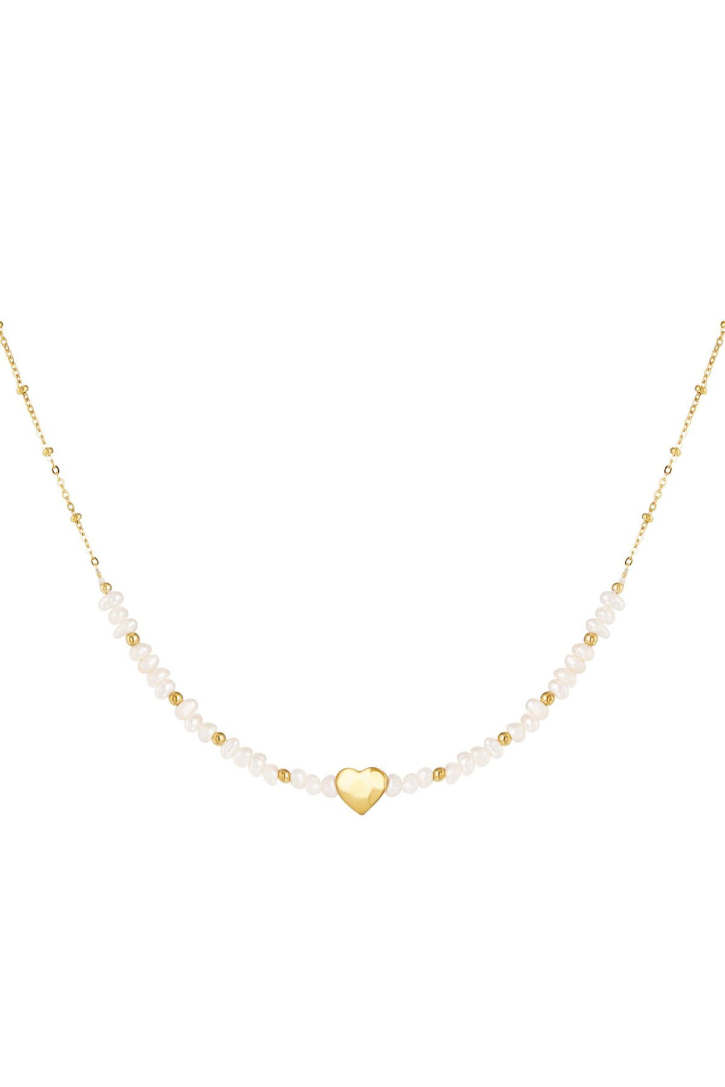 Ketting mooie parel Goud kleur Stainless Steel