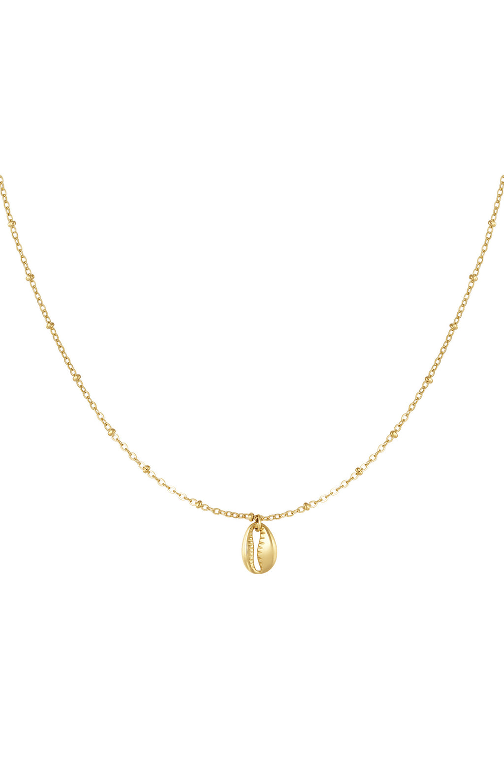 schakelketting met schelp