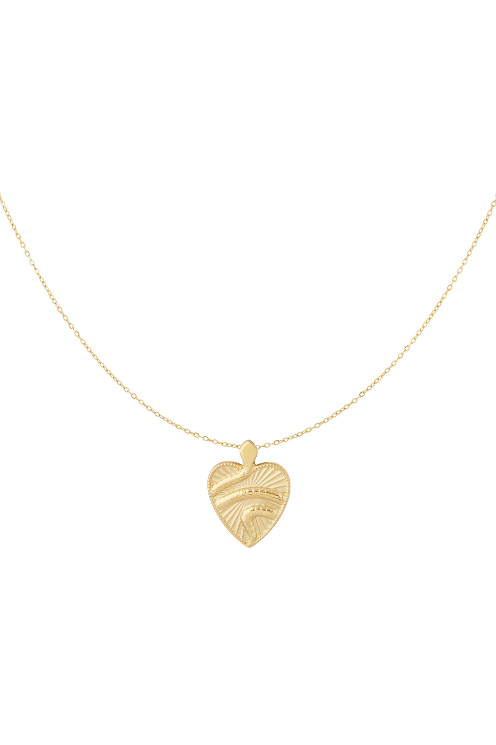 snake ketting