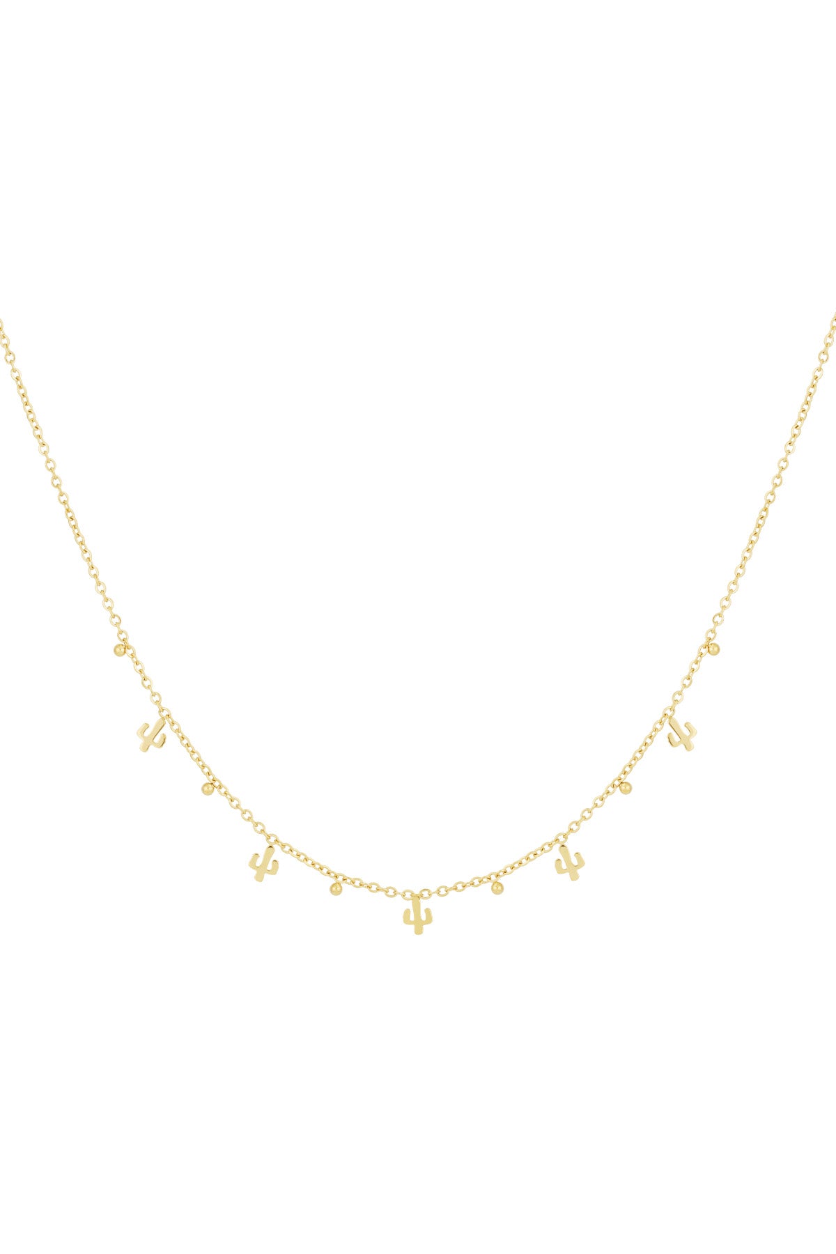 desert ketting