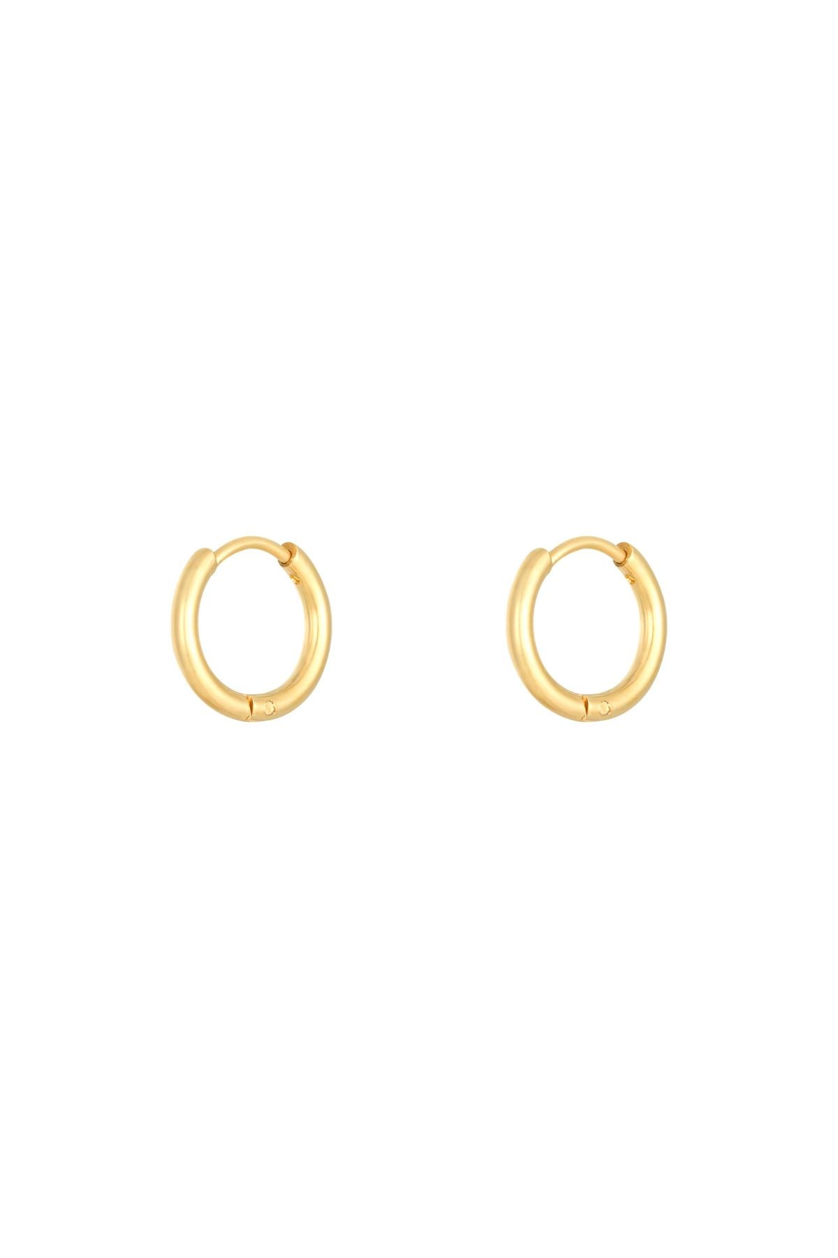 Oorbellen Little Hoops 1.4cm Zilver Stainless Steel