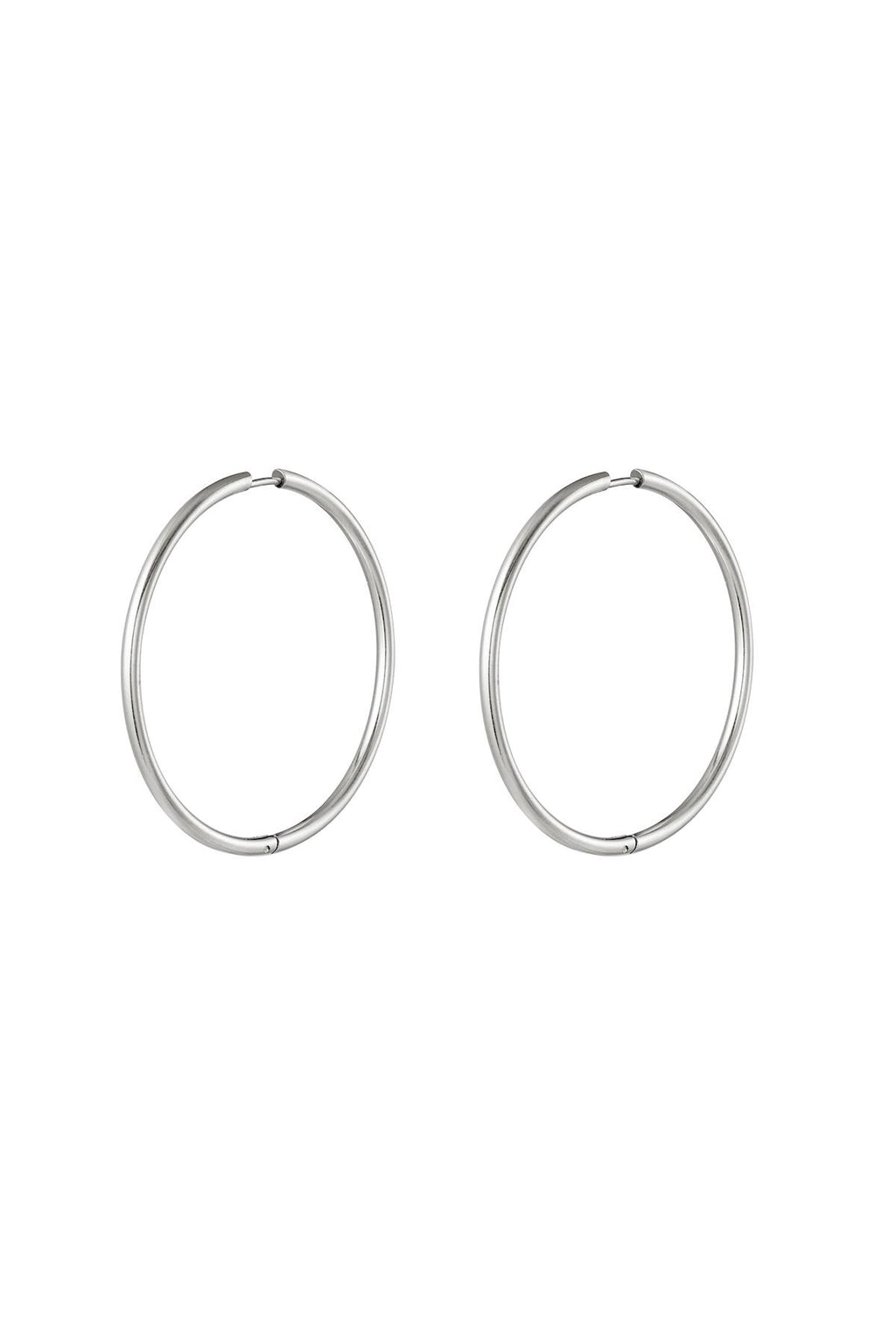 RVS oorbellen hoops medium Goud kleur Stainless Steel