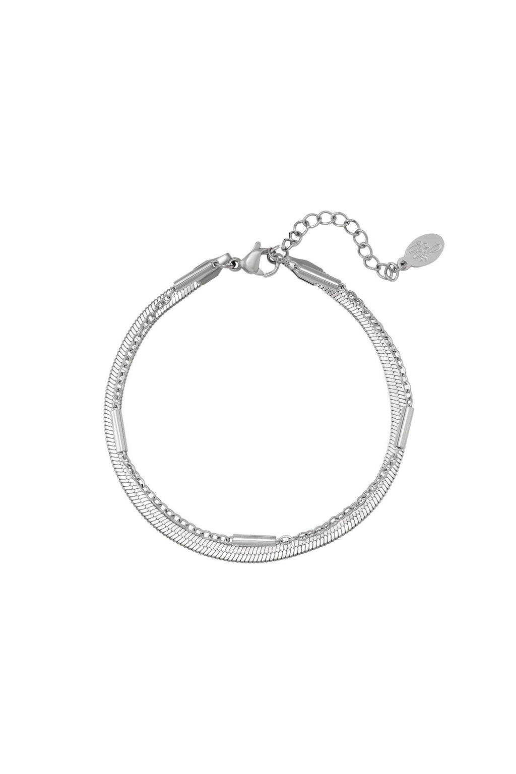 Roestvrij stalen armband dubbel geketend Zilver Stainless Steel