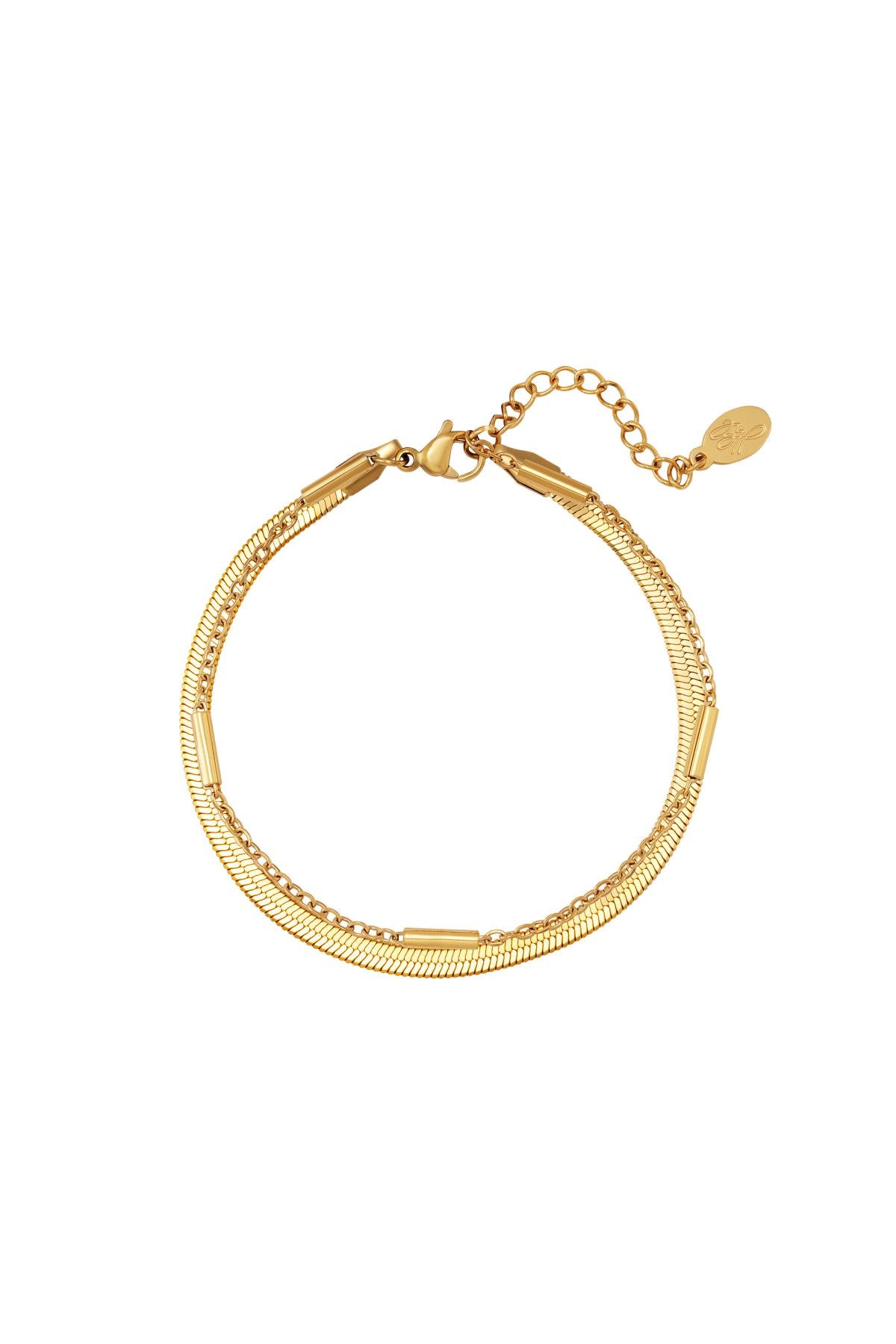 Roestvrij stalen armband dubbel geketend Zilver Stainless Steel