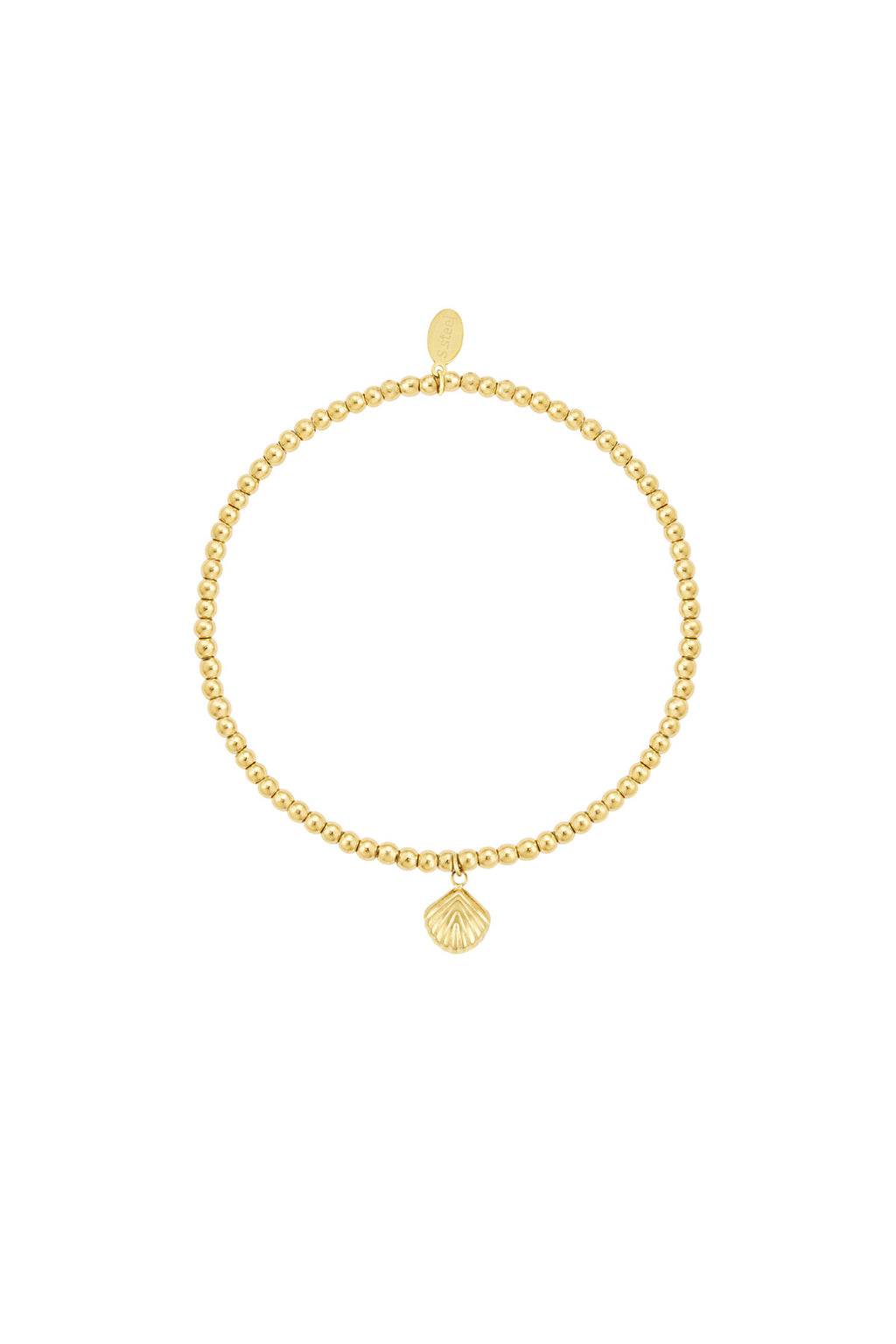 simpele armband kleine schelp