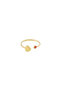 Geboortesteen ring